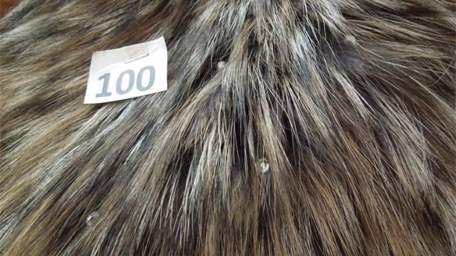 collection 4 pelo 100